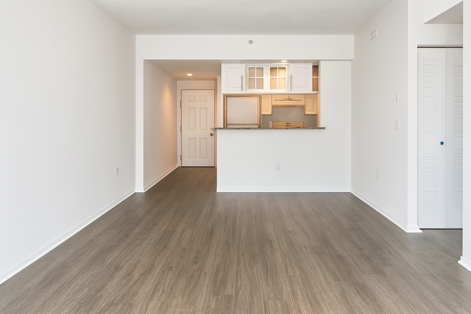 Living Room & Kitchen